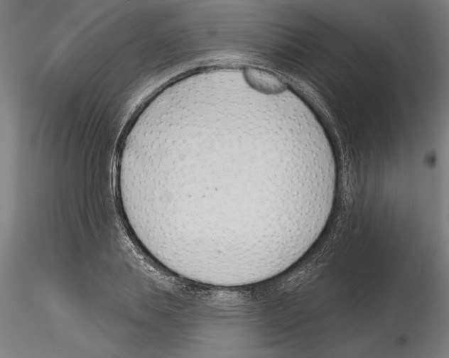 X0000115250839200912111115