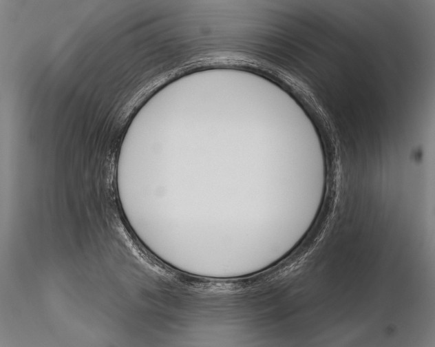 X0000115250841200912111115