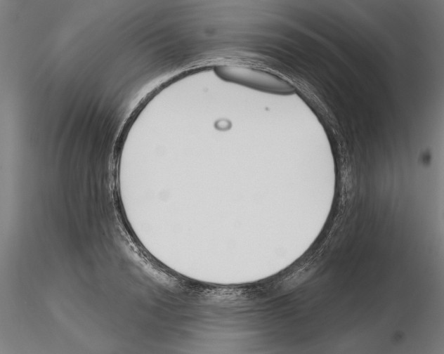 X0000115250846200912111115