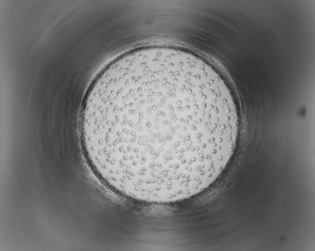 X0000115250847200912111115