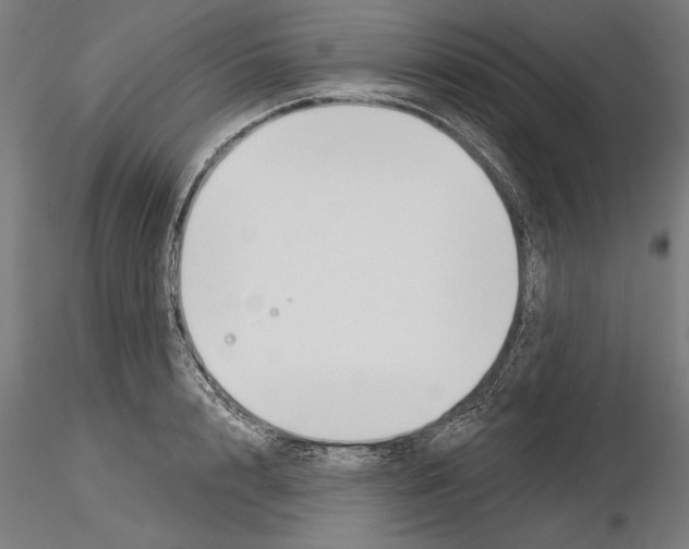 X0000115250848200912111115