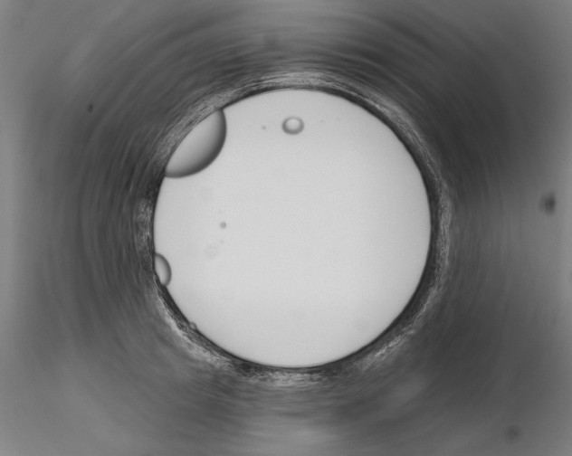 X0000115250849200912111115