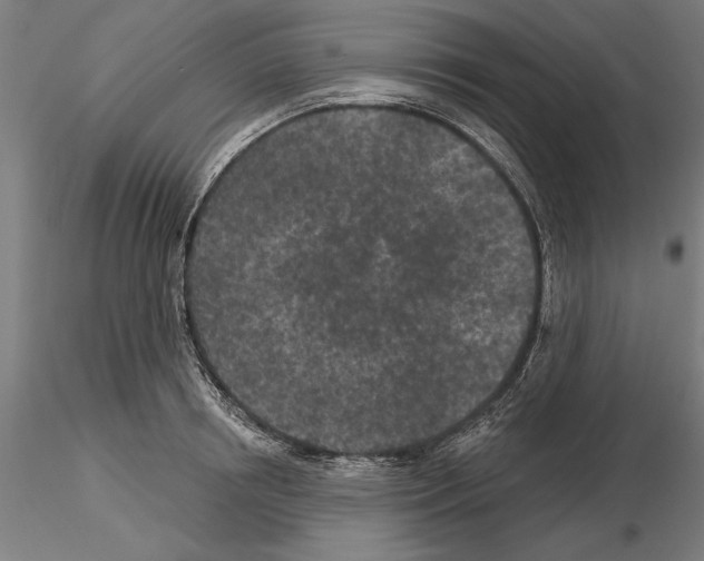 X0000115250850200912111115