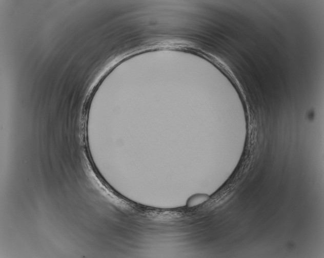 X0000115250851200912111115