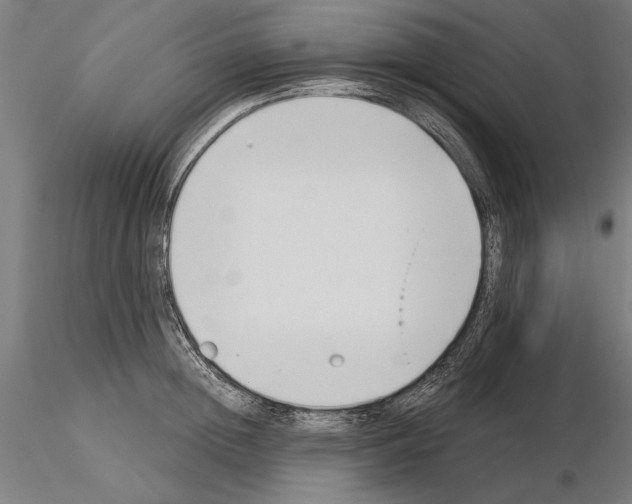 X0000115250852200912111115