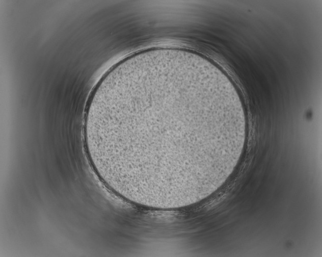 X0000115250853200912111115