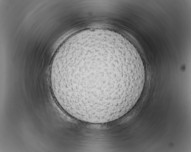 X0000115250855200912111115