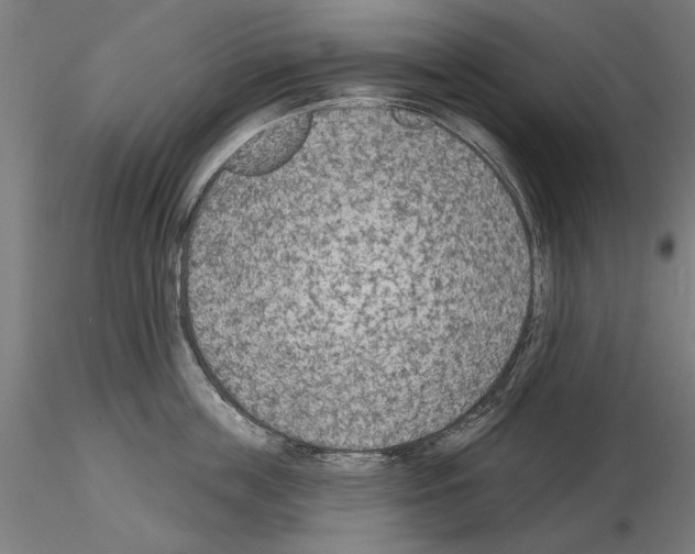 X0000115250859200912111115