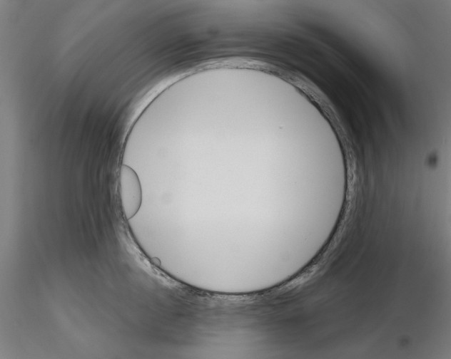 X0000115250860200912111115