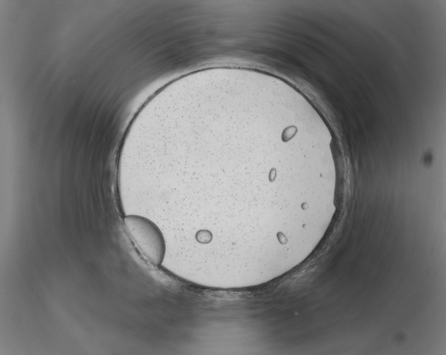 X0000115250862200912111115