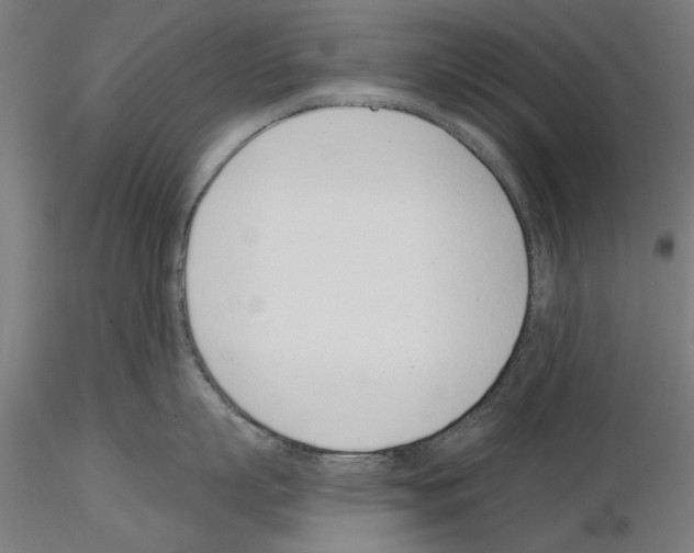 X0000115250863200912111115