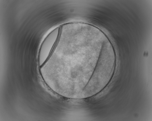 X0000115250864200912111115