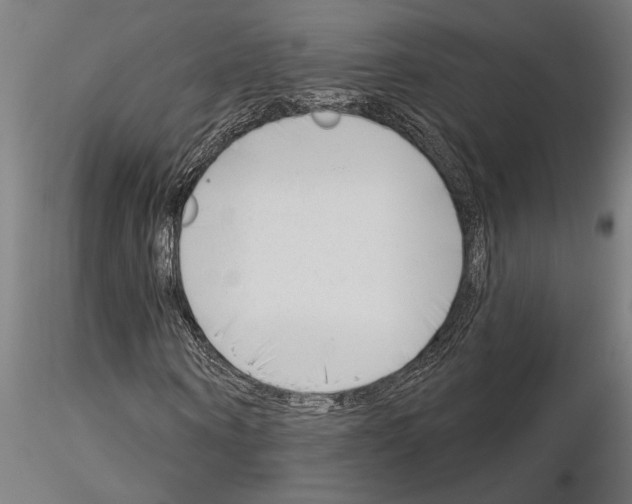 X0000115250866200912111114