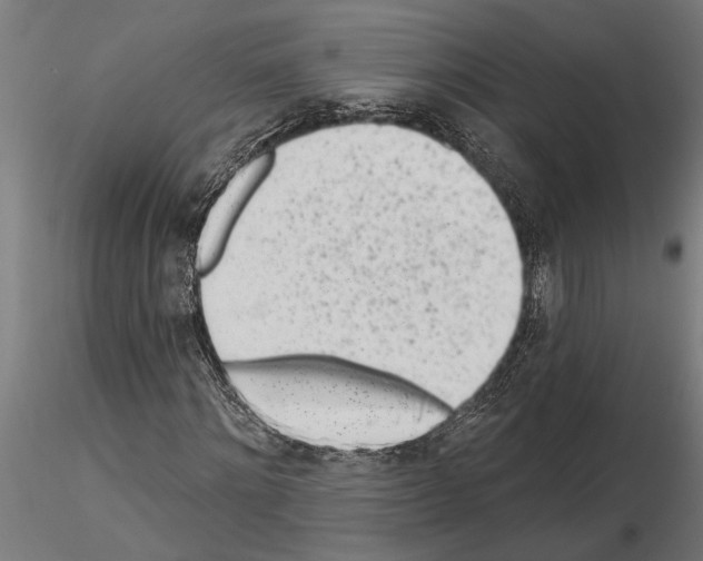 X0000115250868200912111114