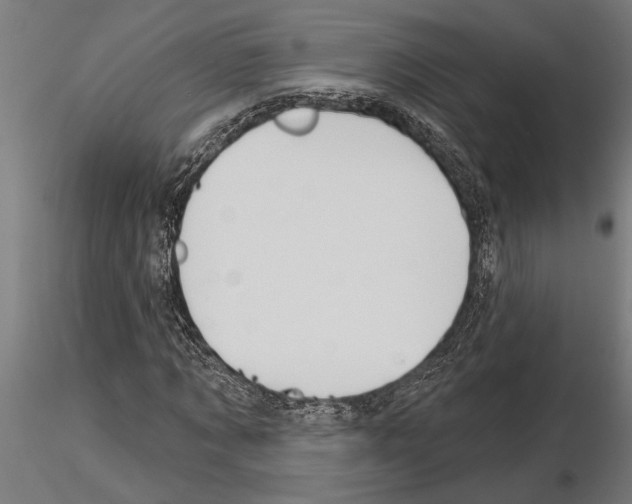 X0000115250869200912111114