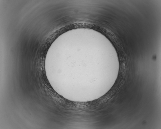 X0000115250870200912111114