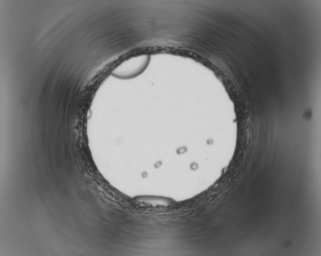 X0000115250872200912111114