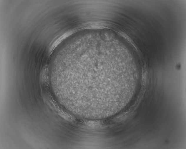 X0000115250874200912111114