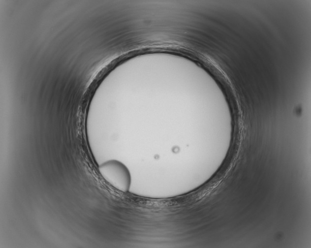 X0000115250875200912111114