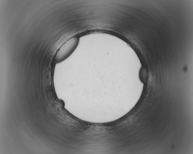 X0000115250877200912111114