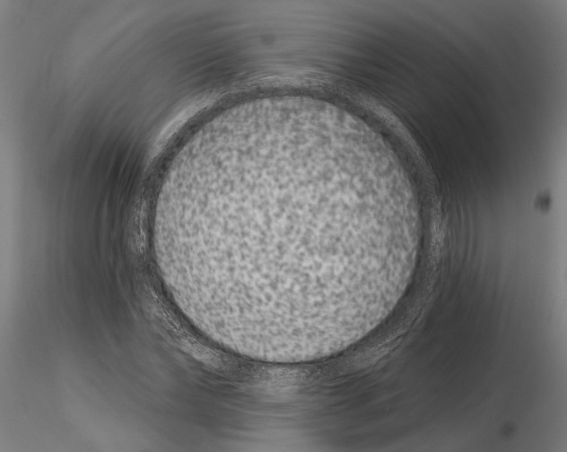 X0000115250878200912111114