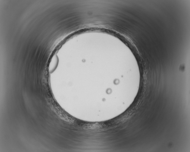 X0000115250879200912111114