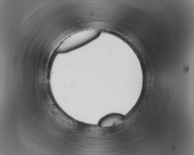 X0000115250880200912111114