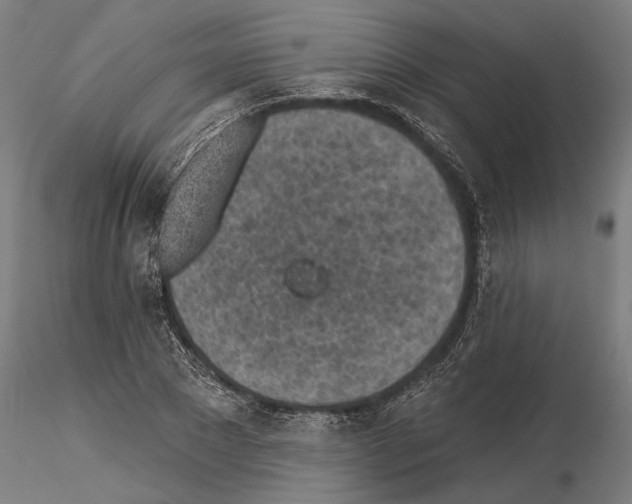 X0000115250881200912111114