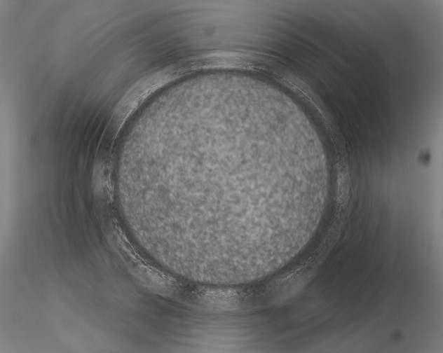 X0000115250882200912111114