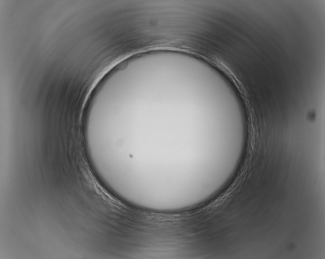 X0000115250884200912111114