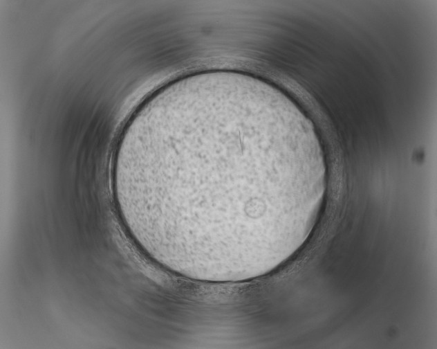 X0000115250886200912111114