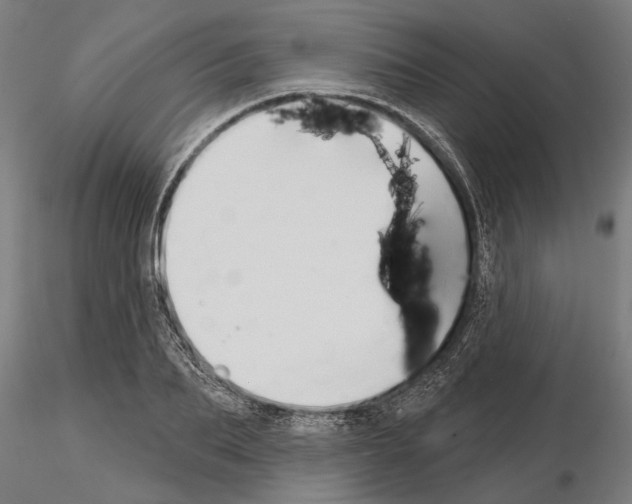 X0000115250887200912111114