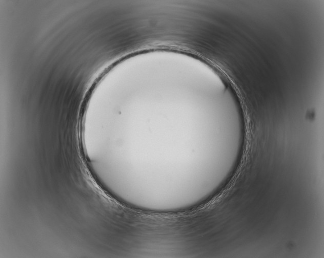 X0000115250888200912111114