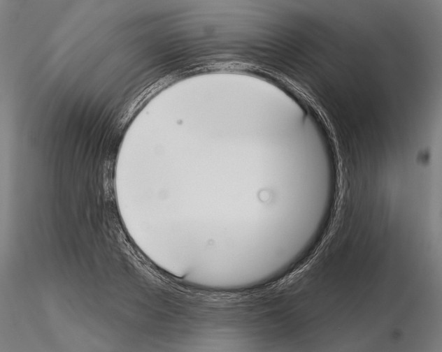 X0000115250889200912111114