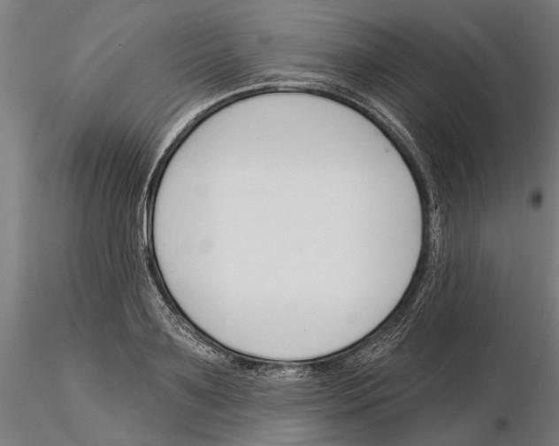 X0000115250891200912111114