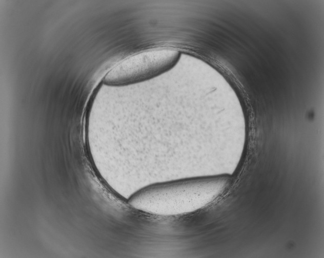 X0000115250892200912111114