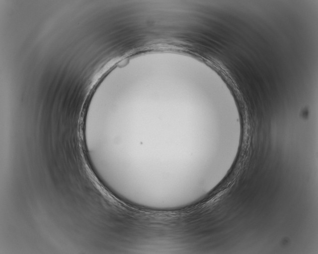 X0000115250893200912111114