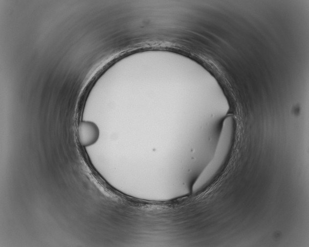 X0000115250894200912111114