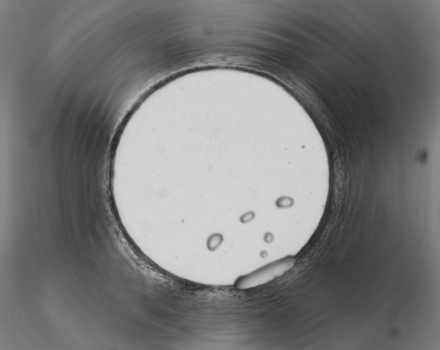 X0000115250896200912111114