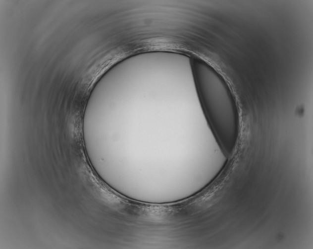 X0000115250897200912111114