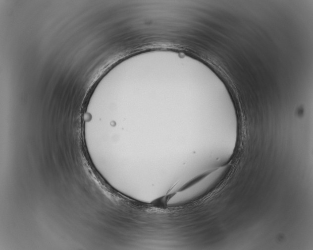 X0000115250898200912111114