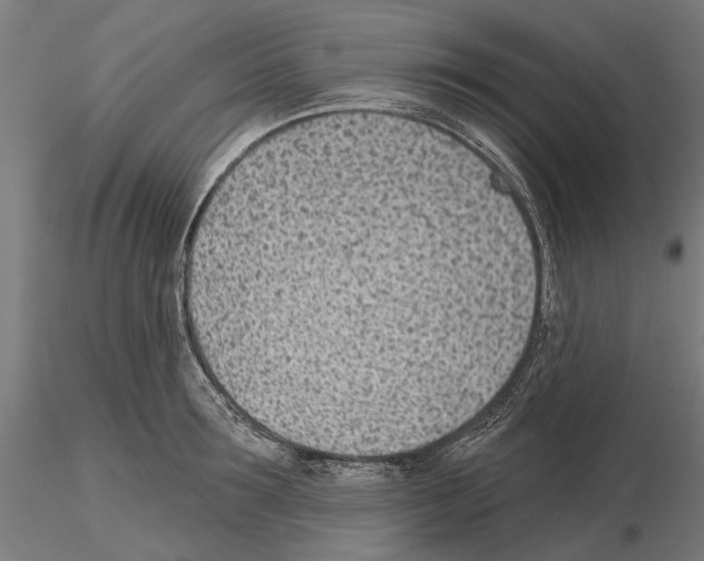 X0000115250899200912111114