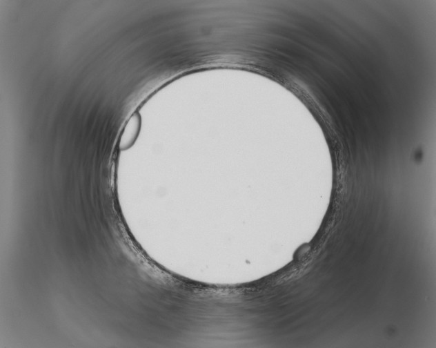 X0000115250900200912111114