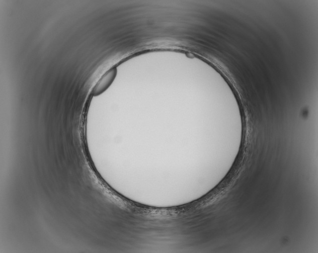 X0000115250901200912111114