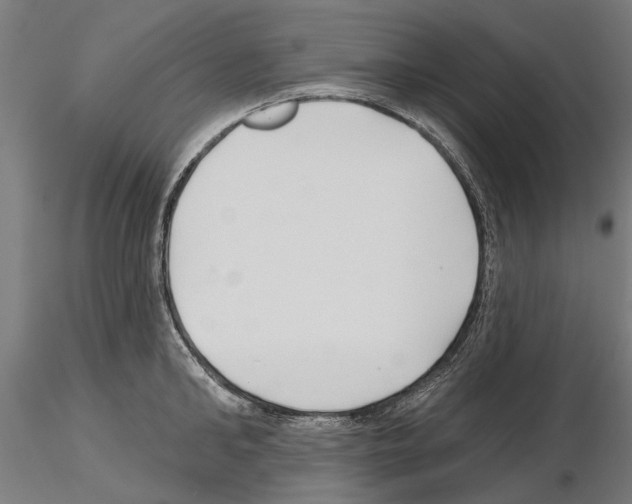 X0000115250902200912111114