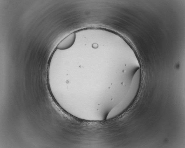 X0000115250903200912111114