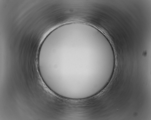 X0000115250904200912111114