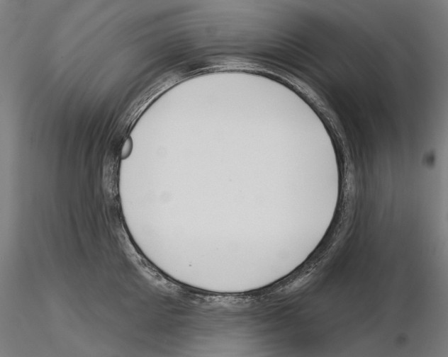 X0000115250905200912111114