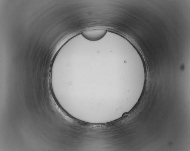 X0000115250906200912111114