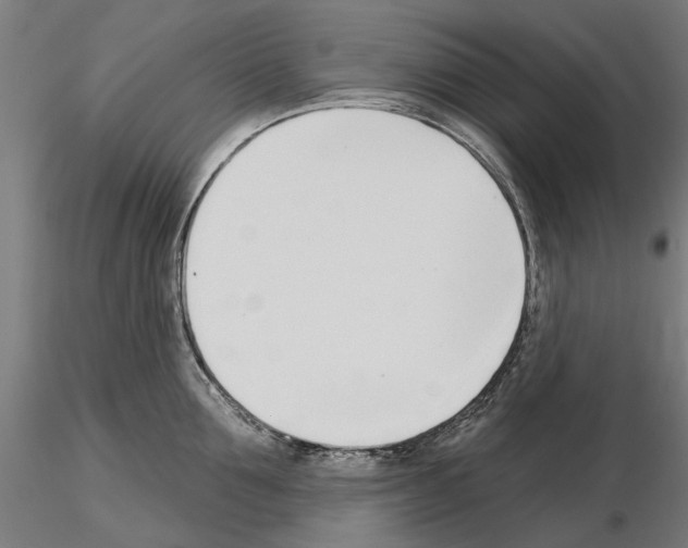 X0000115250907200912111114